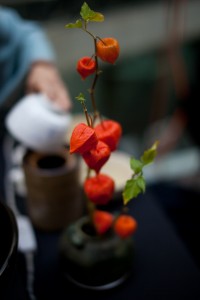 Japanase tea ceremony plant